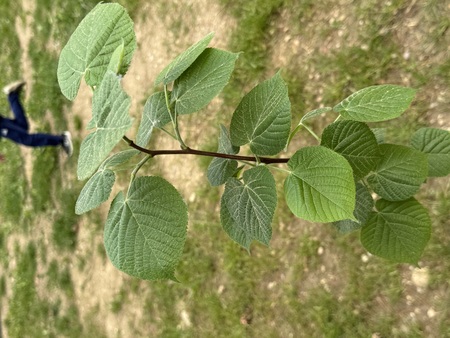 Photo 20. 5. 2026, 09 32 28